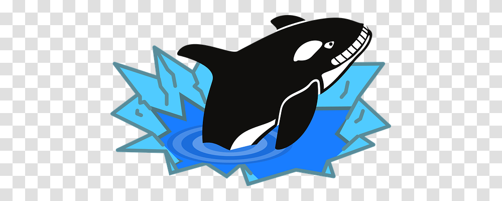 Orca Holiday, Animal, Sea Life, Mammal Transparent Png