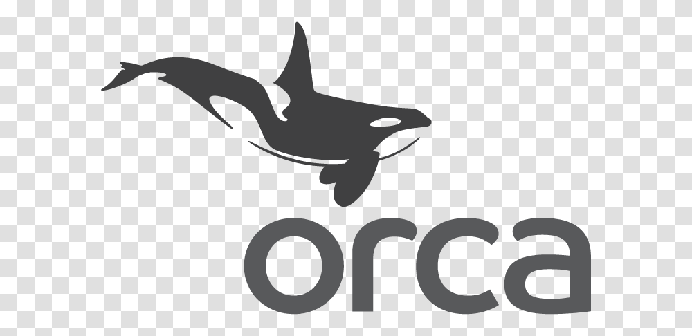 Orca, Animal, Sea Life, Mammal, Bird Transparent Png