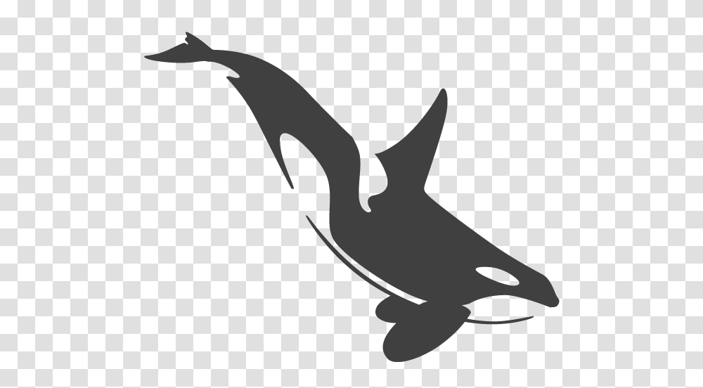 Orca, Axe, Tool, Sea Life, Animal Transparent Png