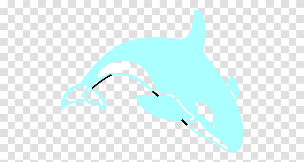 Orca Clip Art Illustration, Sea Life, Animal, Mammal, Whale Transparent Png