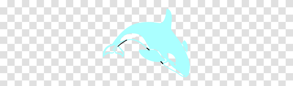 Orca Clip Art, Sea Life, Animal, Mammal, Dolphin Transparent Png