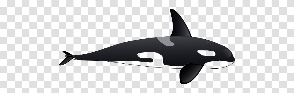 Orca Clip Art, Sea Life, Animal, Mammal, Killer Whale Transparent Png