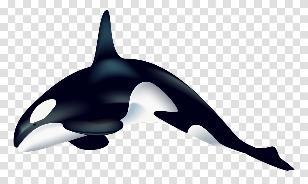 Orca Clip Art, Silhouette, Animal, Sea Life, Tie Transparent Png