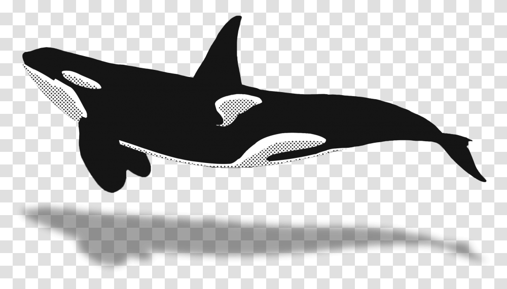 Orca Clipart Minke Whale Whale Watching, Sea Life, Animal, Mammal, Killer Whale Transparent Png