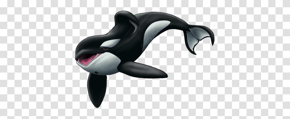 Orca Clipart, Sea Life, Animal, Mammal, Killer Whale Transparent Png