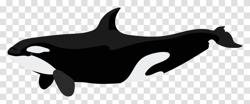 Orca Clipart, Weapon, Weaponry, Emblem Transparent Png