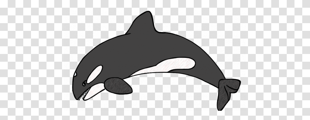 Orca Clipart Whale Digital Dxf Sweet Sardinia Orca, Sunglasses, Accessories, Accessory, Sea Life Transparent Png