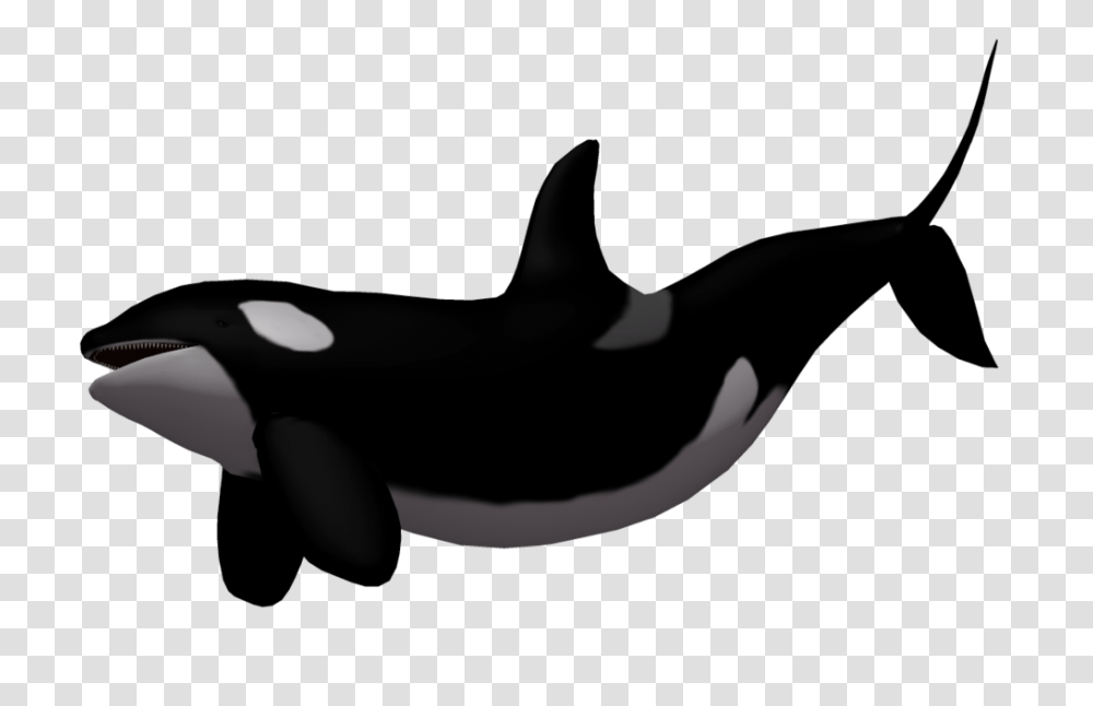 Orca Clipart White Background, Sea Life, Animal, Mammal, Killer Whale Transparent Png