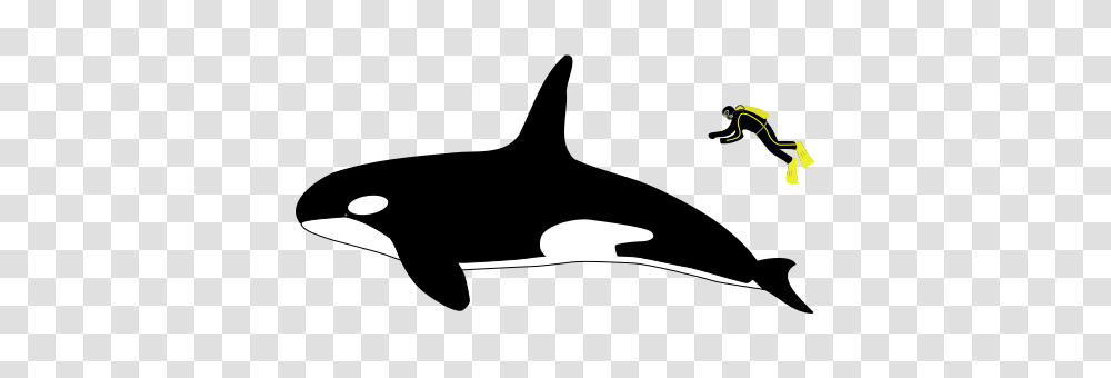 Orca, Moon, Outdoors, Nature Transparent Png