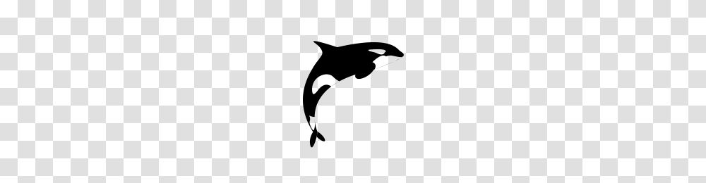 Orca Icons Noun Project, Gray, World Of Warcraft Transparent Png