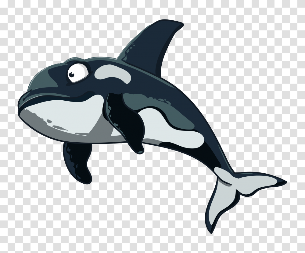 Orca In Vector Free Vectors For Download, Mammal, Sea Life, Animal, Killer Whale Transparent Png