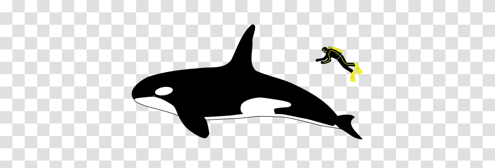 Orca Input Library, Moon, Nature, Silhouette Transparent Png