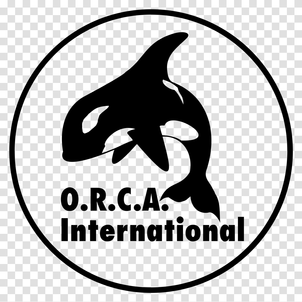 Orca International Logo Killer Whale, Gray, World Of Warcraft Transparent Png