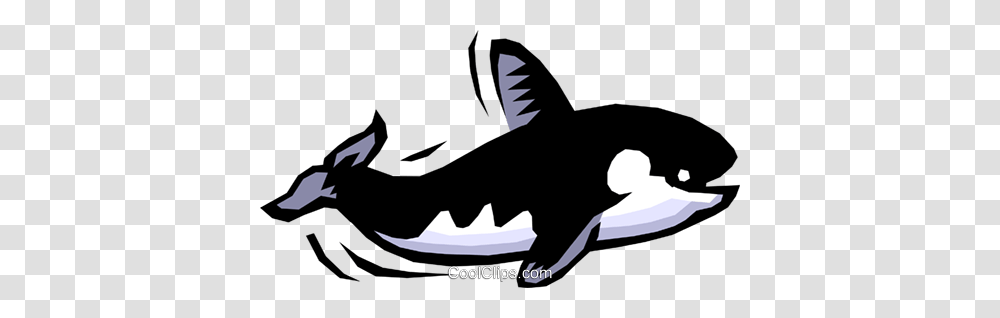 Orca Livre De Direitos Vetores Clip Art, Animal, Mammal, Fish, Sea Life Transparent Png