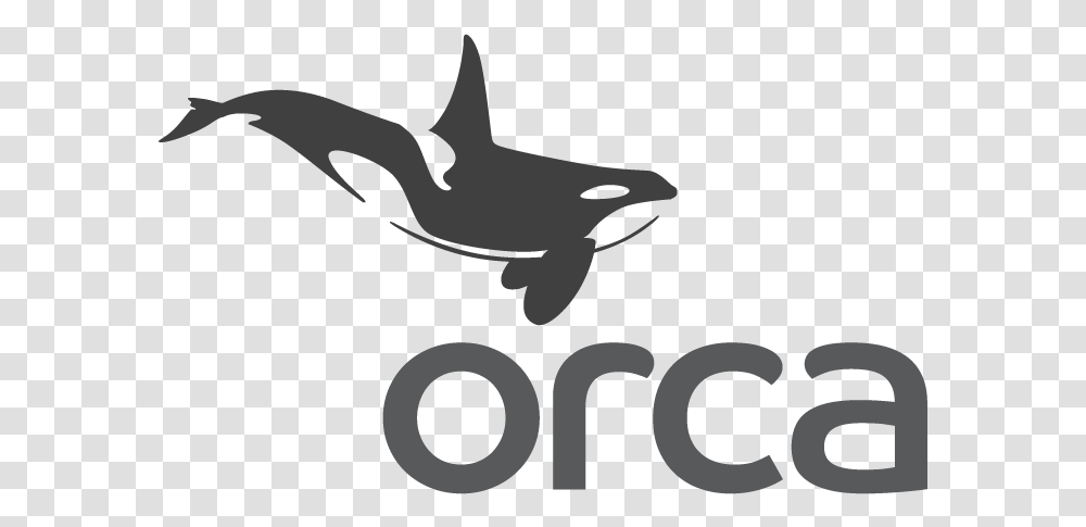 Orca Orca Server, Sea Life, Animal, Shark, Fish Transparent Png