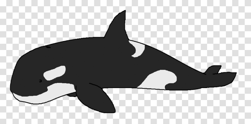 Orca, Sea Life, Animal, Mammal, Whale Transparent Png