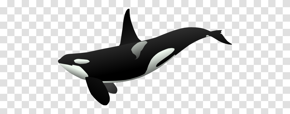 Orca Tattoo, Mammal, Sea Life, Animal, Killer Whale Transparent Png