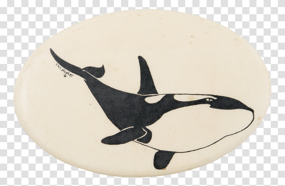Orca Whale Art Button Museum Killer Whale, Bird, Pottery, Skin, Porcelain Transparent Png
