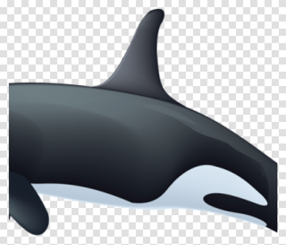 Orca Whale Clipart Killer Whale Clipart Rianfil Music Wholphin, Sea Life, Animal, Mammal, Dolphin Transparent Png