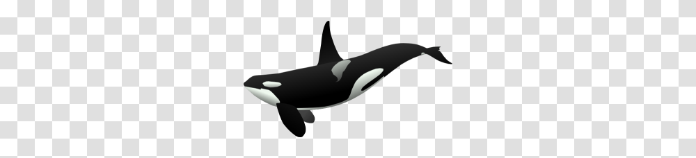 Orca Whale Clipart Orca Clip Art, Mammal, Sea Life, Animal, Killer Whale Transparent Png