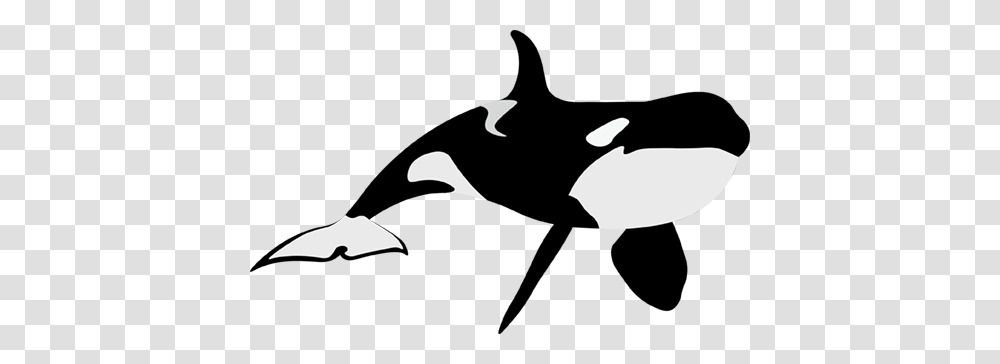 Orca Whale, Stencil, Silhouette, Crowd, Couch Transparent Png