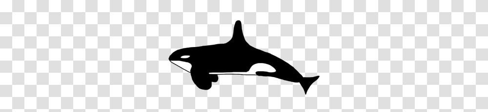 Orcas Clip Art, Label, Mustache, Arrow Transparent Png