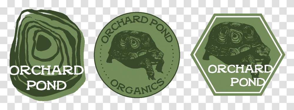 Orchard Pond Logos By Margaret Morgan Holy Names Academy, Symbol, Trademark, Coin, Money Transparent Png