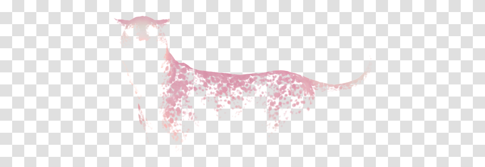 Orchid, Cattle, Mammal, Animal, Cow Transparent Png