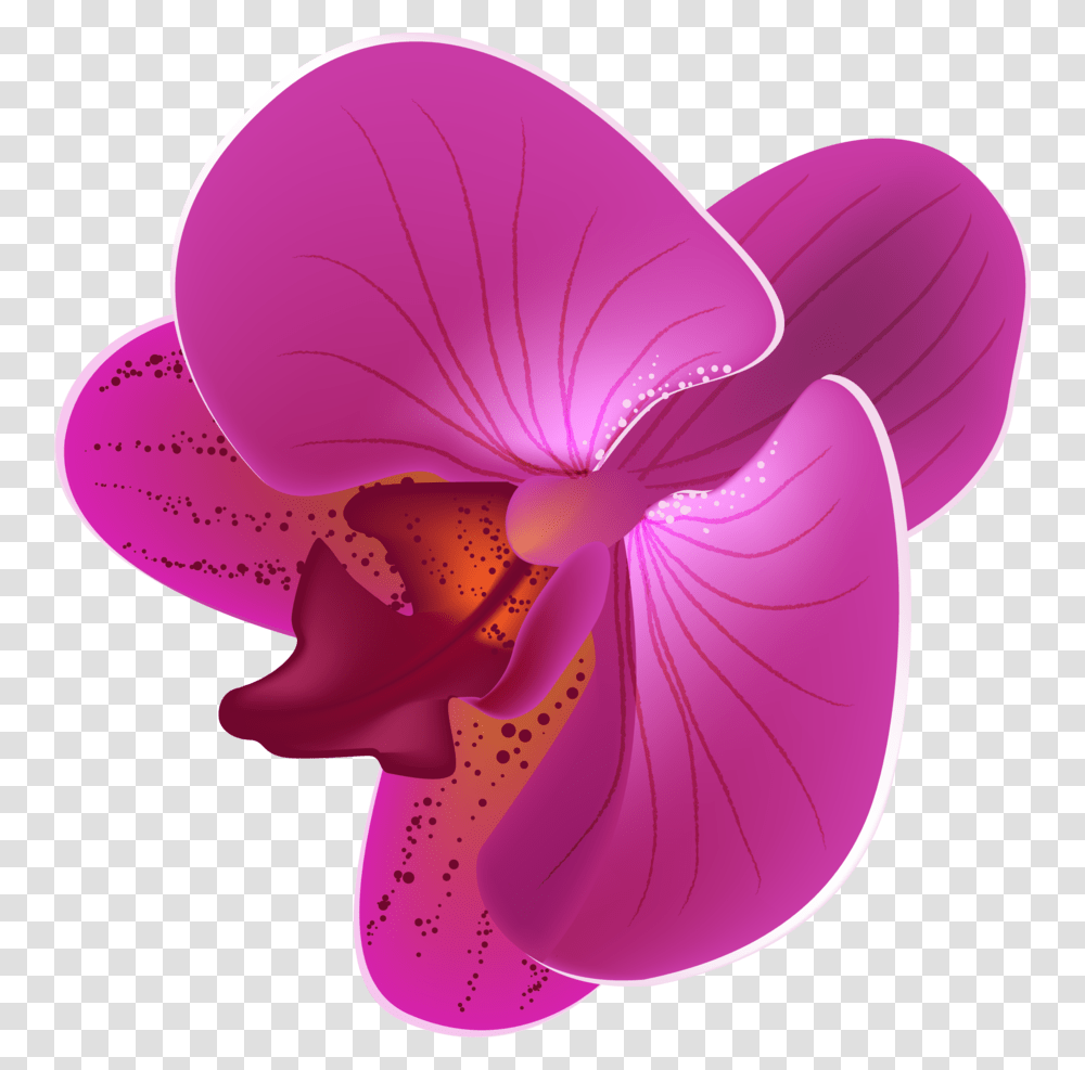 Orchid Clipart Animated Orchid Flower Vector, Plant, Blossom, Petal, Fungus Transparent Png