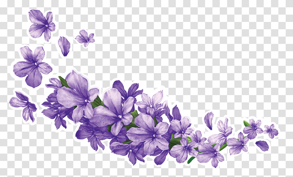 Orchid Clipart Lavender Background Lavender Flower, Plant, Blossom, Geranium, Petal Transparent Png