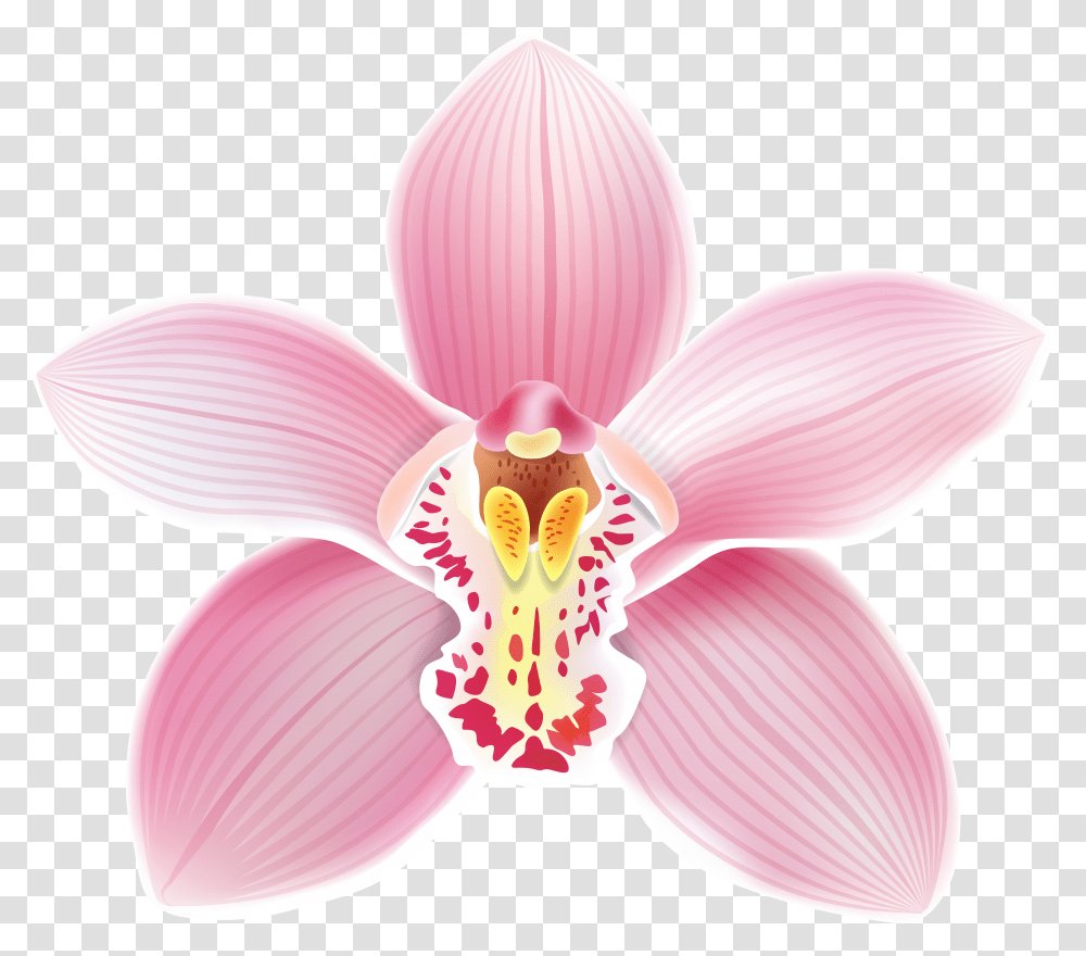 Orchid Clipart Petals Transparent Png