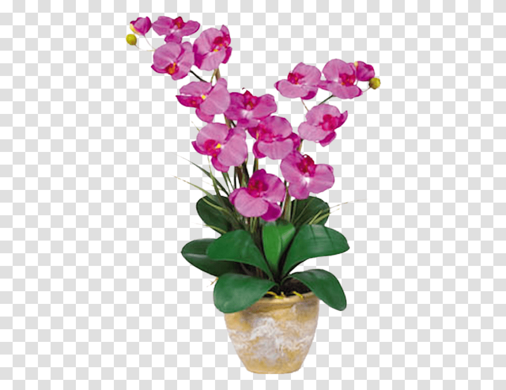 Orchid Double Stem Phalaenopsis Silk Orchid Arrangement, Plant, Flower, Blossom, Flower Arrangement Transparent Png