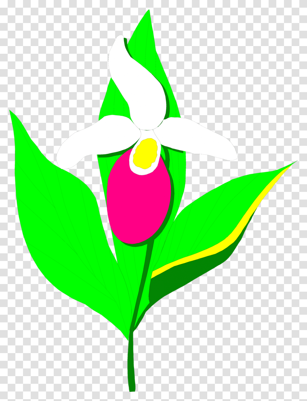 Orchid Flower Clip Art, Plant, Blossom, Leaf, Iris Transparent Png