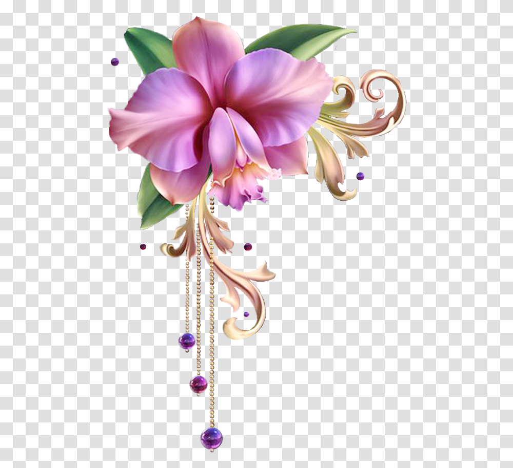 Orchid Flower Frame, Plant, Blossom, Floral Design, Pattern Transparent Png