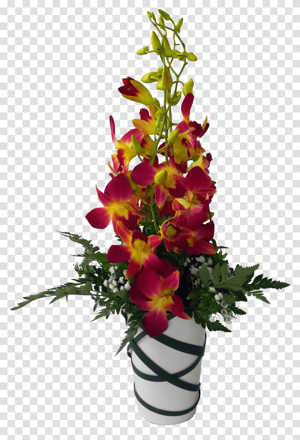 Orchid Flower Pot, Plant, Blossom, Ikebana, Art Transparent Png