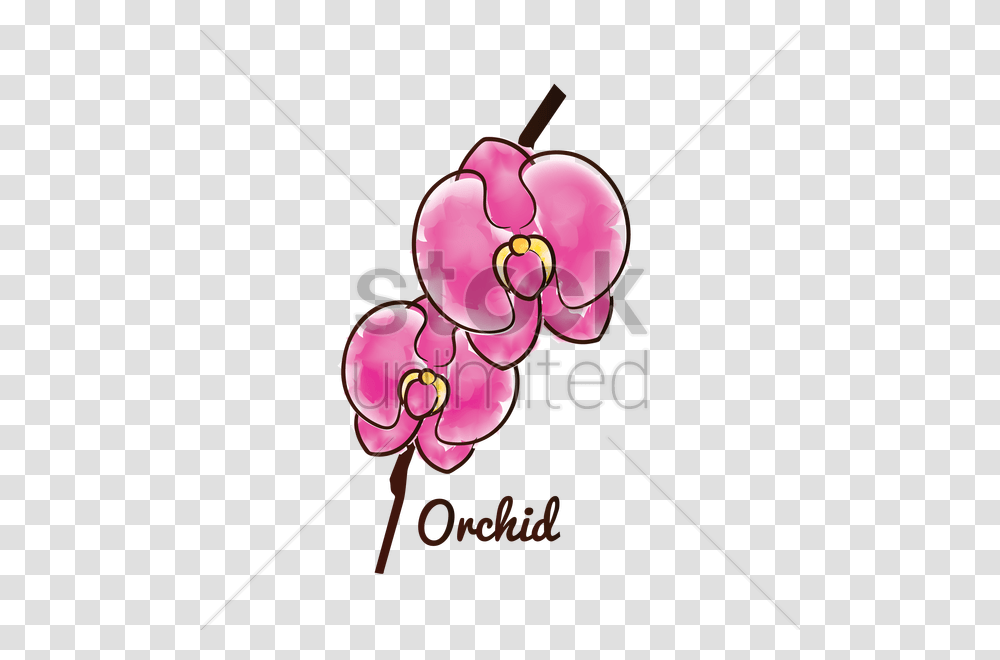 Orchid Flower Vector Image, Plant, Bow, Dynamite, Weapon Transparent Png