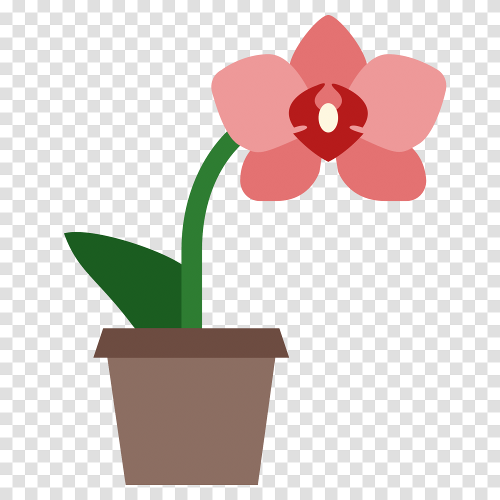 Orchid Icon, Plant, Flower, Blossom, Cross Transparent Png