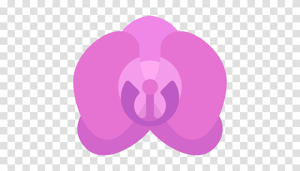 Orchid Icon, Purple, Flower, Plant, Blossom Transparent Png