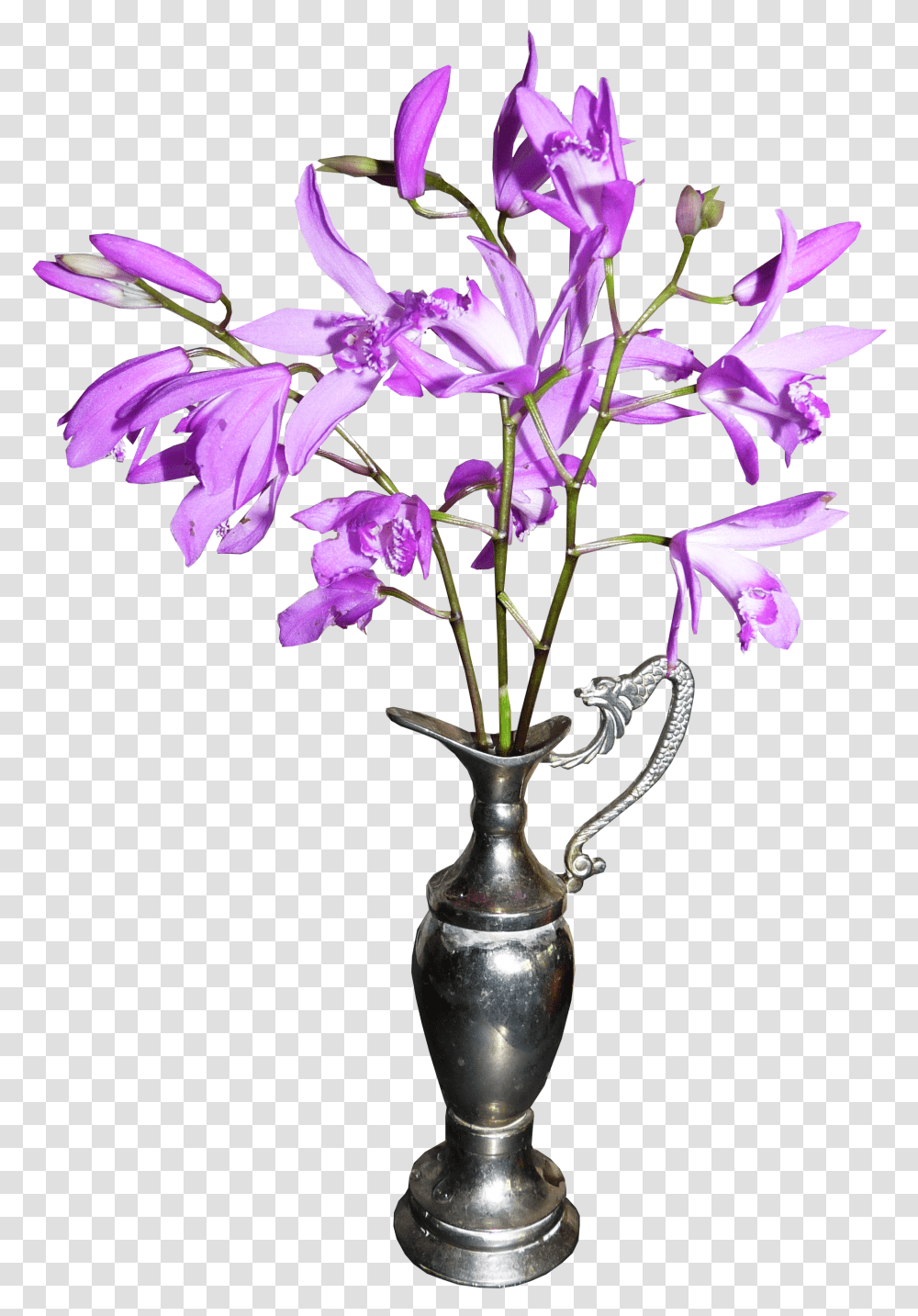 Orchid Image Tulip Vase, Plant, Ikebana, Art, Ornament Transparent Png