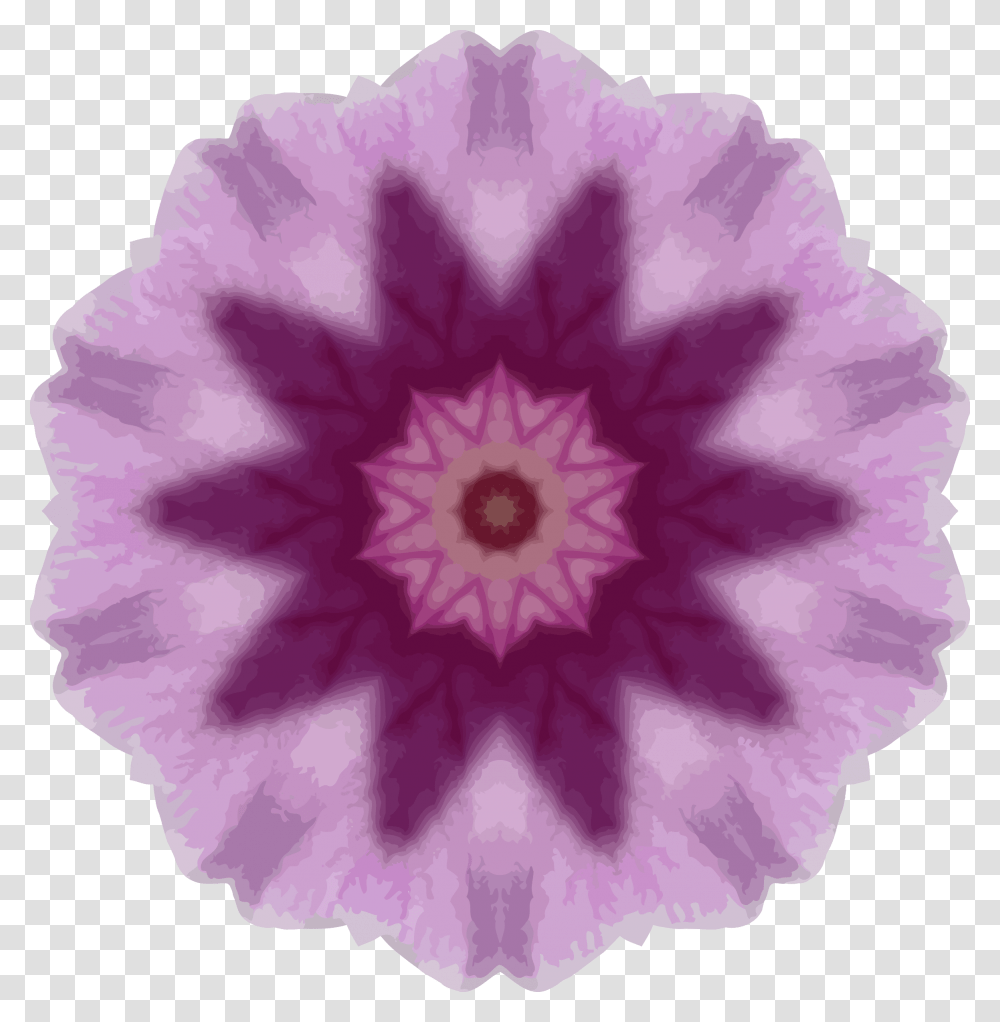 Orchid Kaleidoscope 14 Clip Arts Ball Of Whacks Turtle, Rose, Flower, Plant, Blossom Transparent Png