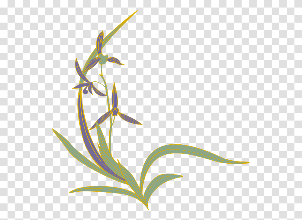 Orchid Oriental Orchid Flowers Japanese Style Orchids, Plant, Tree, Bud, Sprout Transparent Png