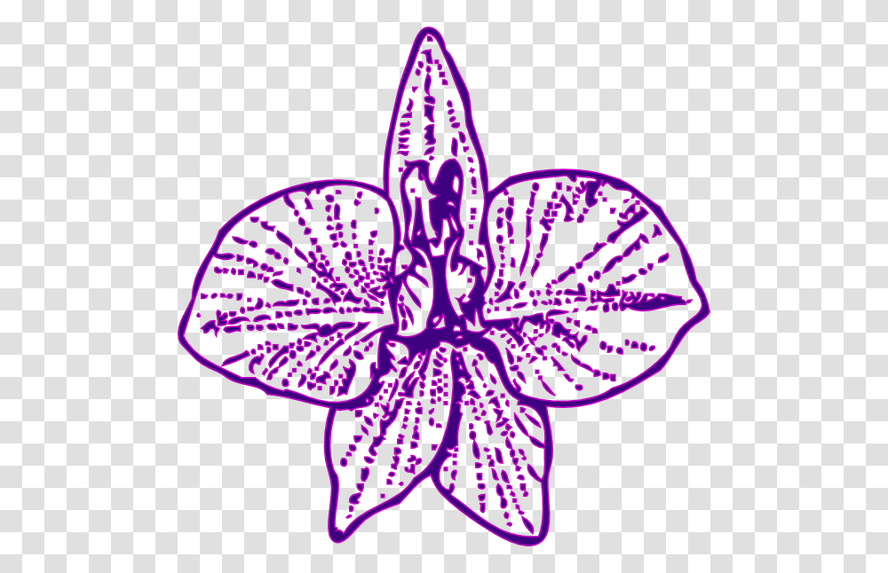 Orchid, Petal, Flower, Plant, Blossom Transparent Png