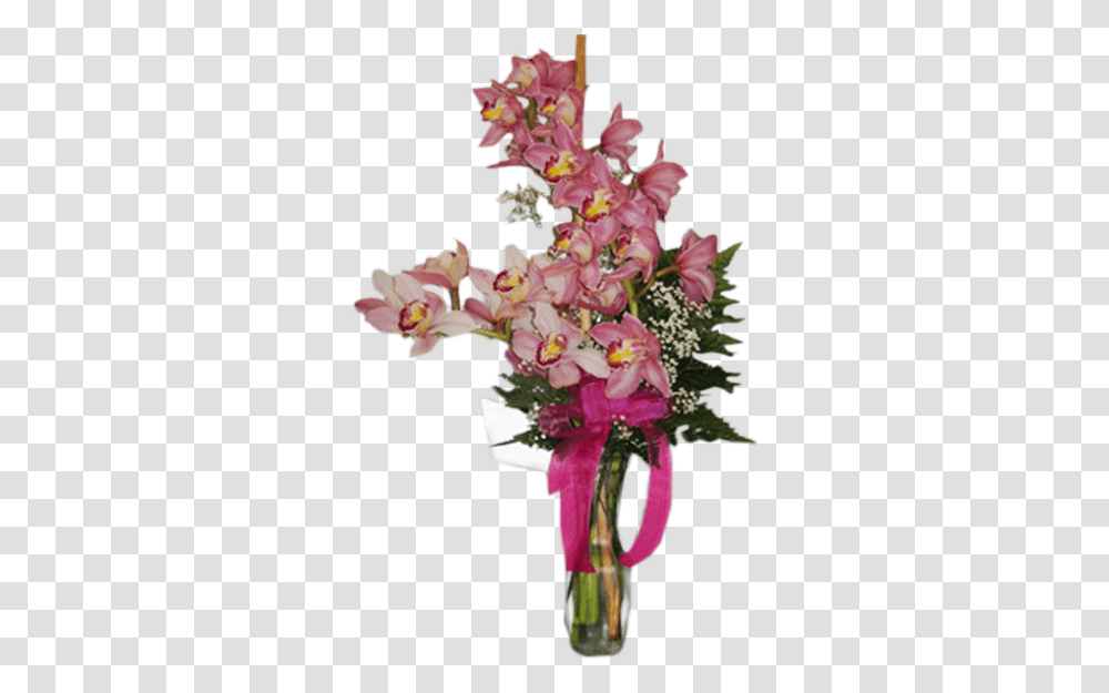 Orchid, Plant, Flower, Blossom, Floral Design Transparent Png