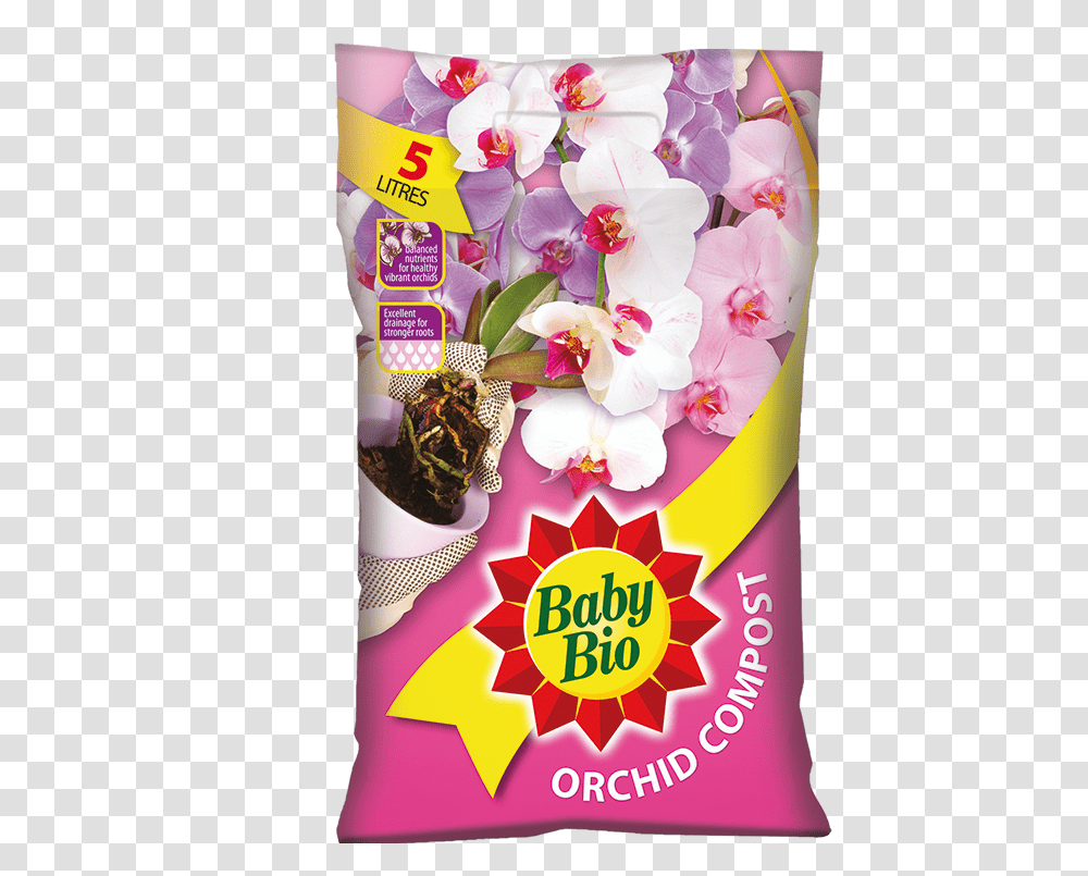 Orchid, Plant, Flower, Poster, Advertisement Transparent Png