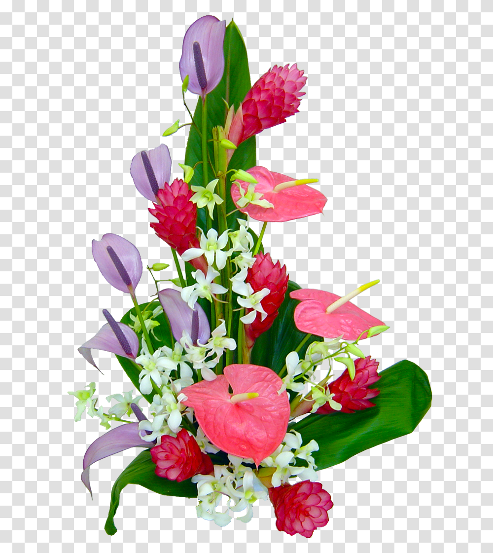 Orchid Tropical Hawaiian Flowers Flower Bouquet Congratulations, Plant, Blossom, Flower Arrangement, Rose Transparent Png
