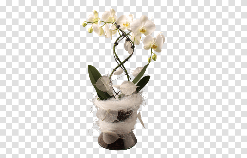 Orchid Vase Kompozycja Kwiatowa Storczyk W Doniczce, Plant, Flower, Blossom, Ikebana Transparent Png