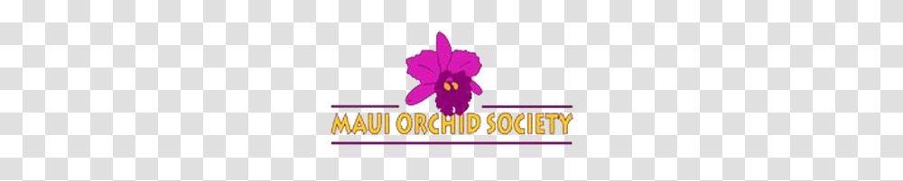 Orchidland Maui Fair, Super Mario, Purple Transparent Png