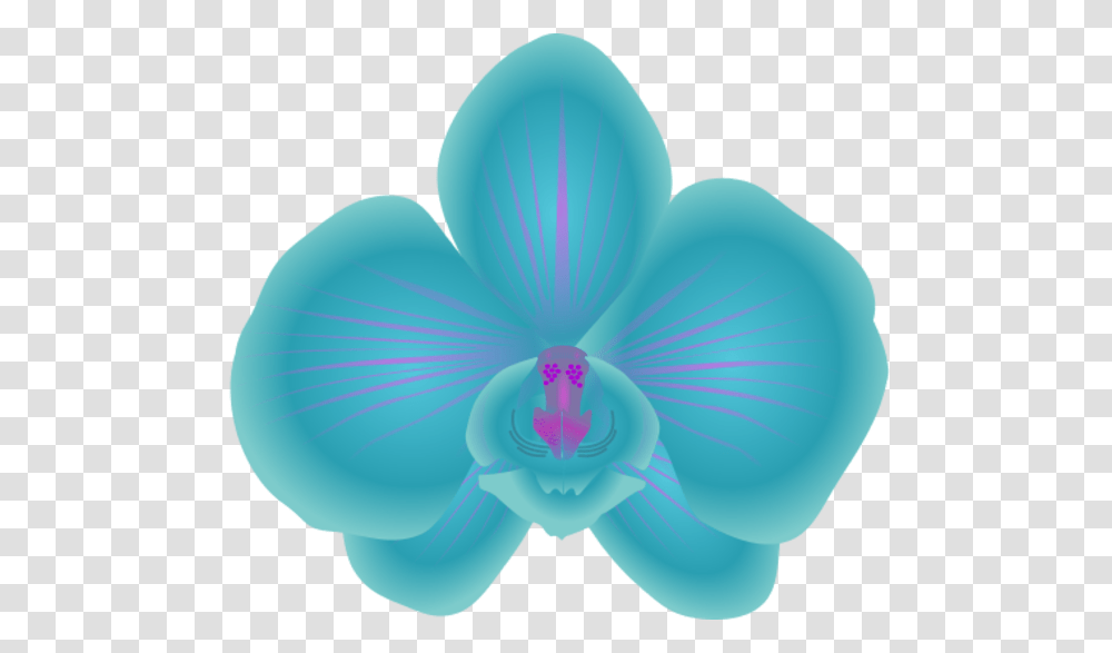 Orchids Blue Orchid Clip Art, Plant, Balloon, Flower, Blossom Transparent Png