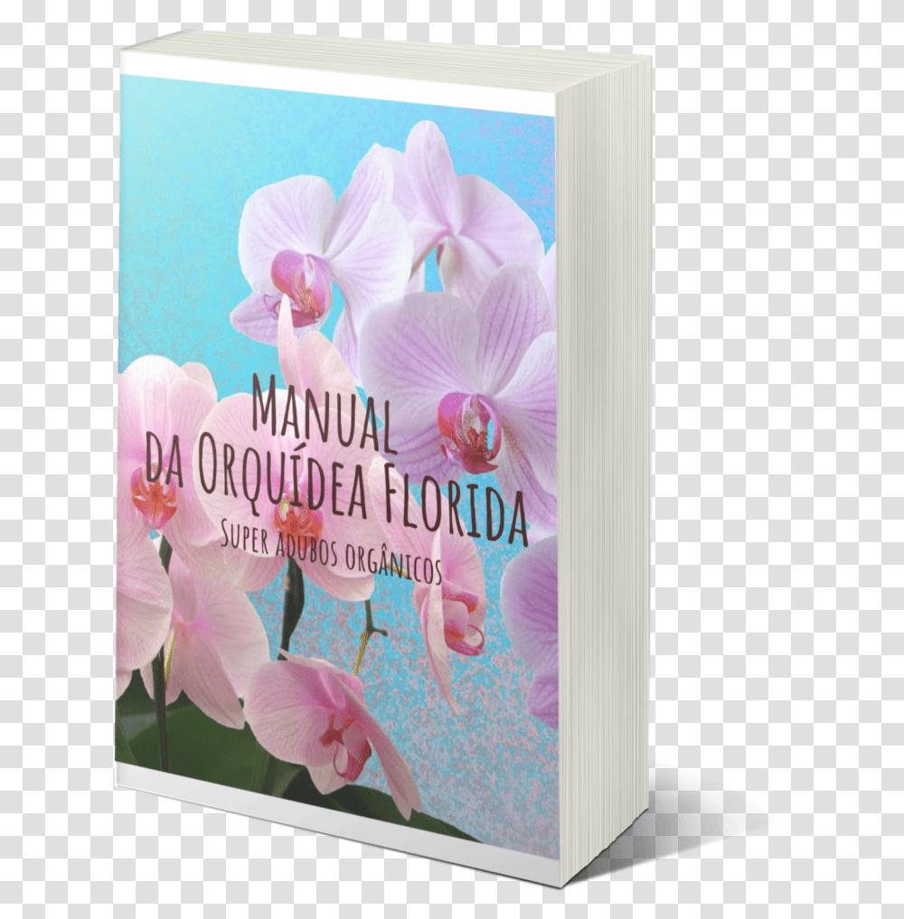 Orchids, Envelope, Flower, Plant, Blossom Transparent Png