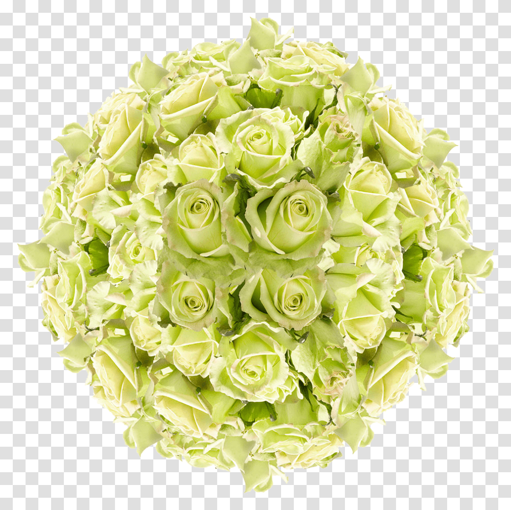 Order Green Roses Garden Roses, Floral Design, Pattern Transparent Png